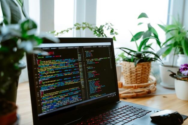 #PraCegoVer: Mesa de trabalho com uma tela de notebook que contém vários códigos de programação rodeada por vasos de plantas.