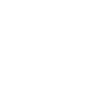 #PraCegoVer. Ícone em vetor de um megafone.